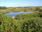 Preola Lake and Gorghi Tondi Nature Reserve